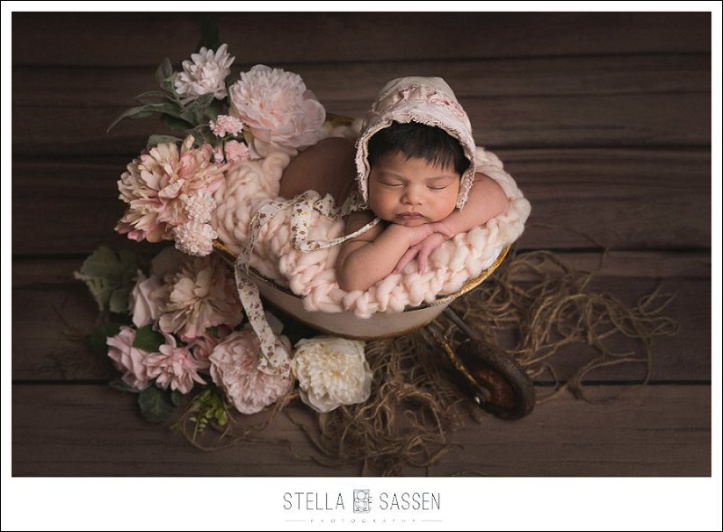 Newborn baby in prop for studio photo shoot