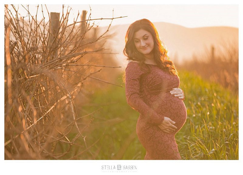 Softly lit maternity session in vineyard