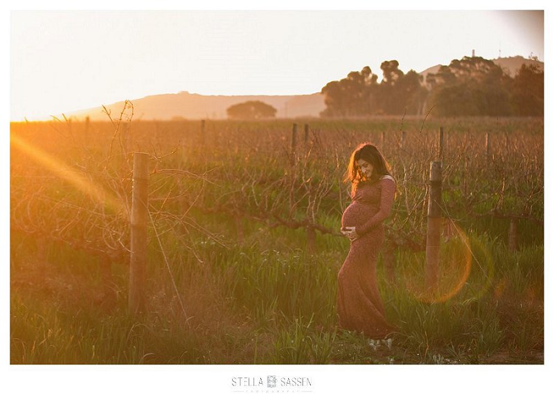0022 winelands maternity photographers cape town