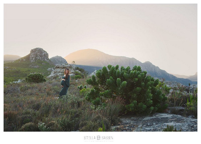 Sunset matenrity photo in the Cape Mountains and fynbos
