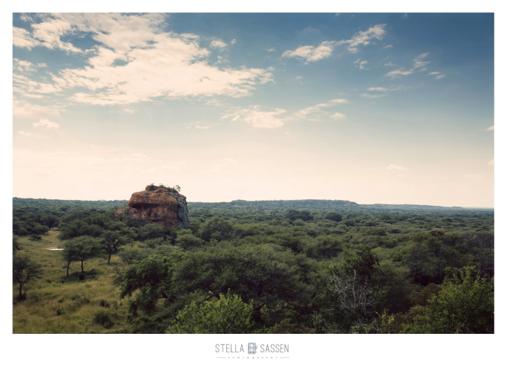 cape town top wedding photographer bush 01