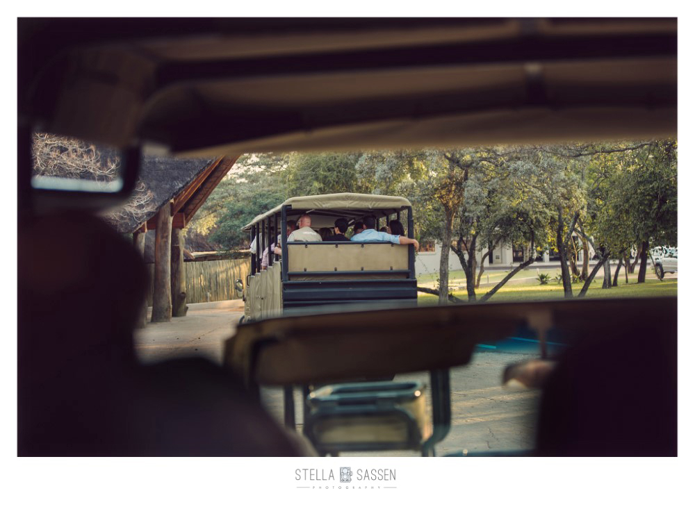 cape town top wedding photographer bush 05