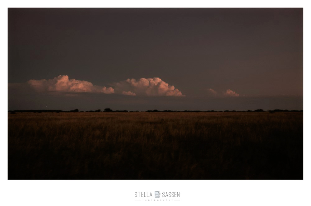 cape town top wedding photographer bush 60