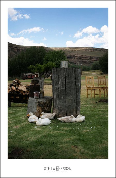 cape town farm wedding photos 002