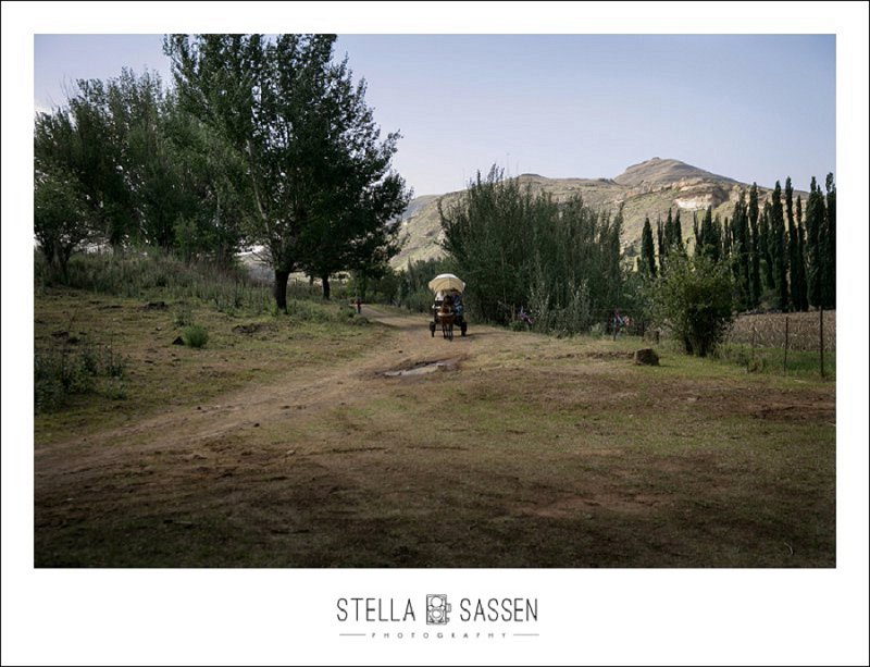 cape town farm wedding photos 032