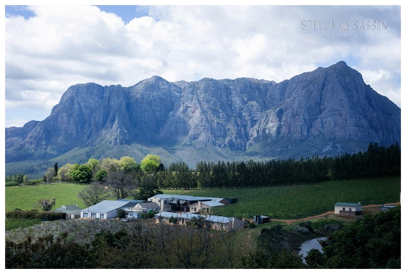 cape winelands franschhoek wedding photographer 34