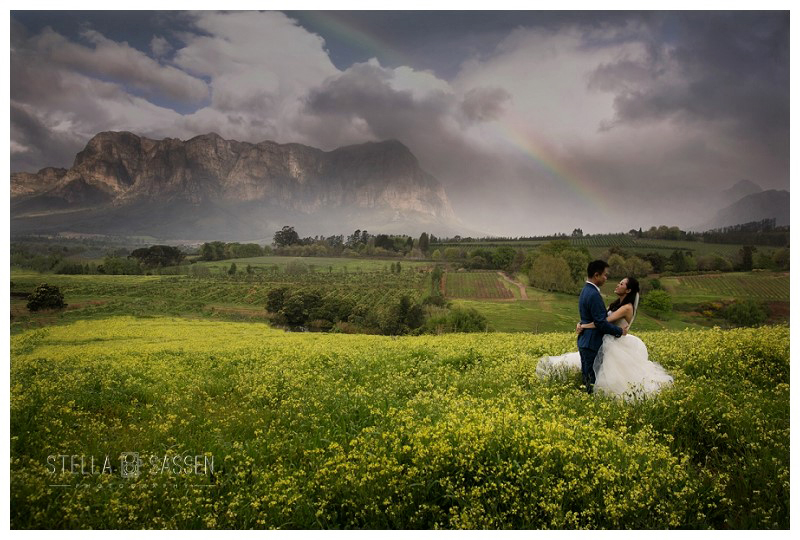 cape winelands franschhoek wedding photographer 60