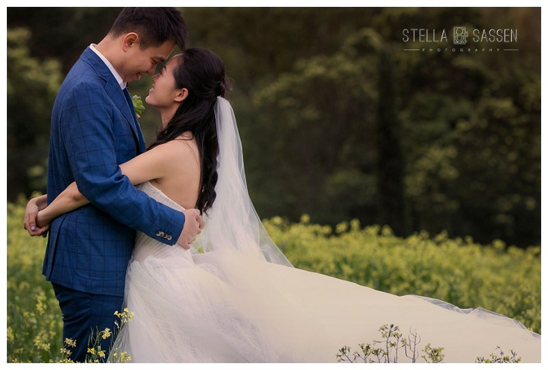 cape winelands franschhoek wedding photographer 61