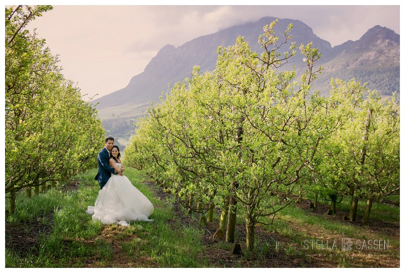 cape winelands franschhoek wedding photographer 64