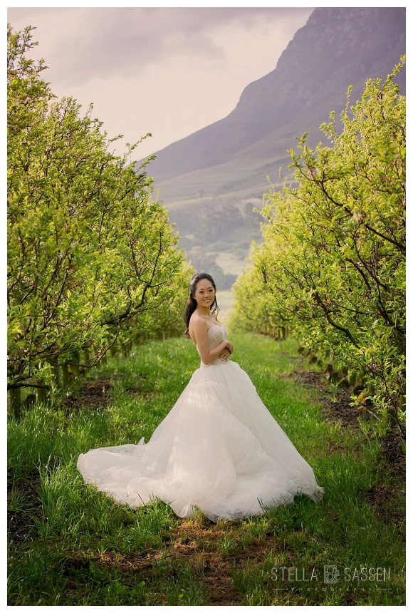 cape winelands franschhoek wedding photographer 72
