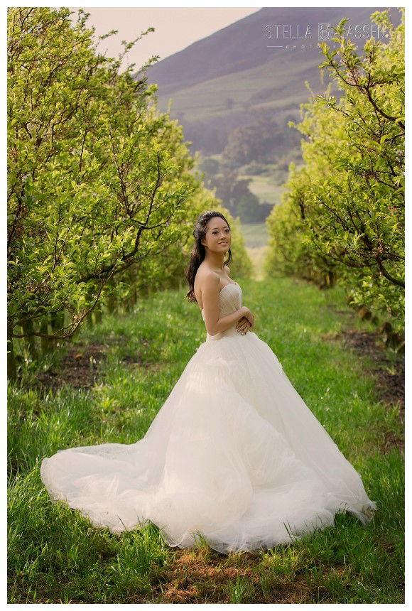 cape winelands franschhoek wedding photographer 74