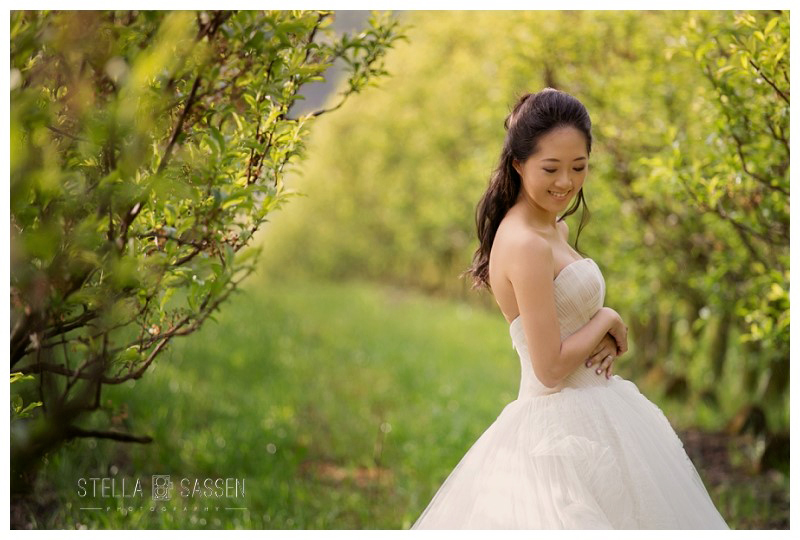 cape winelands franschhoek wedding photographer 75