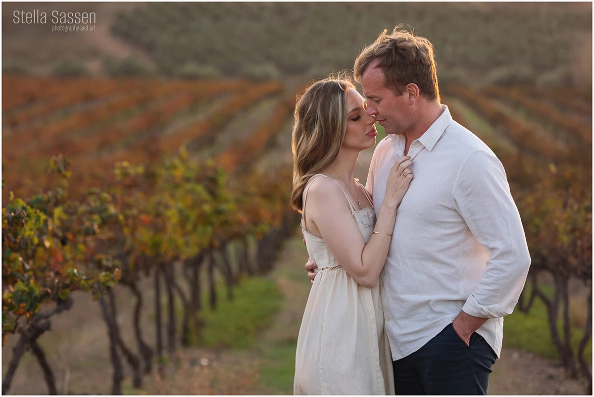 cape winelands winefarm photographer 18