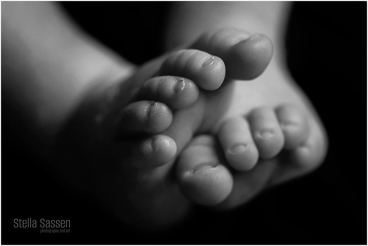 cape town top newborn photographer 16