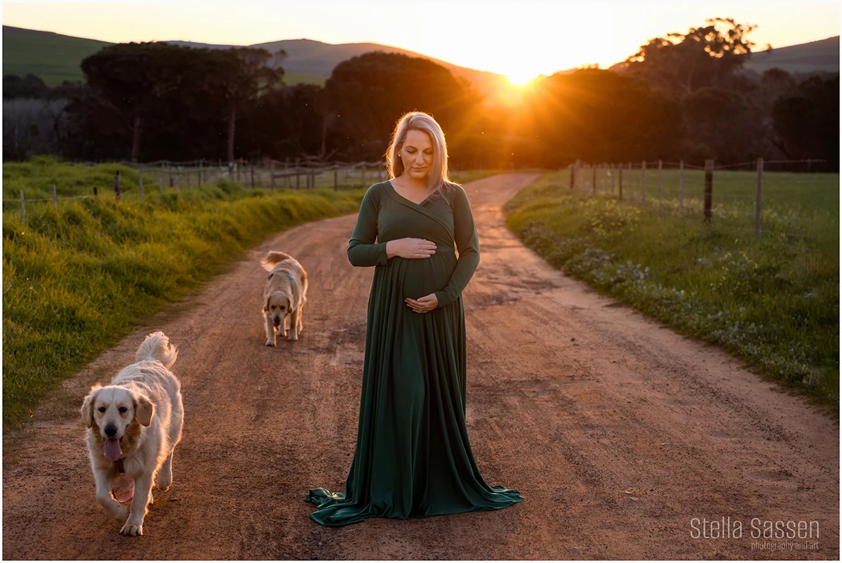 pregnant woman on a gravel road with her dogs as the sun sets behind her