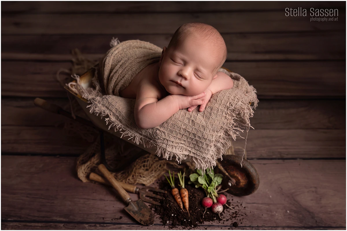top cape town newborn photographer 02