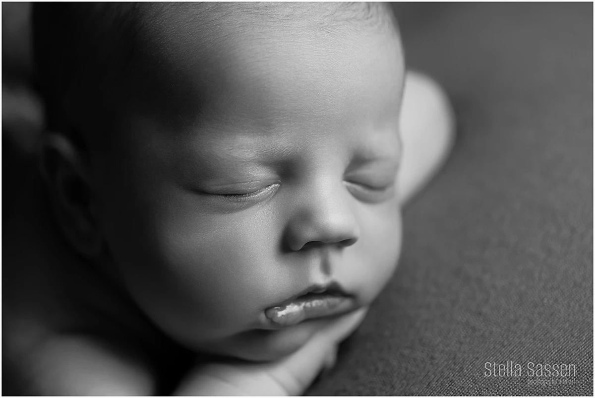 top cape town newborn photographer 08